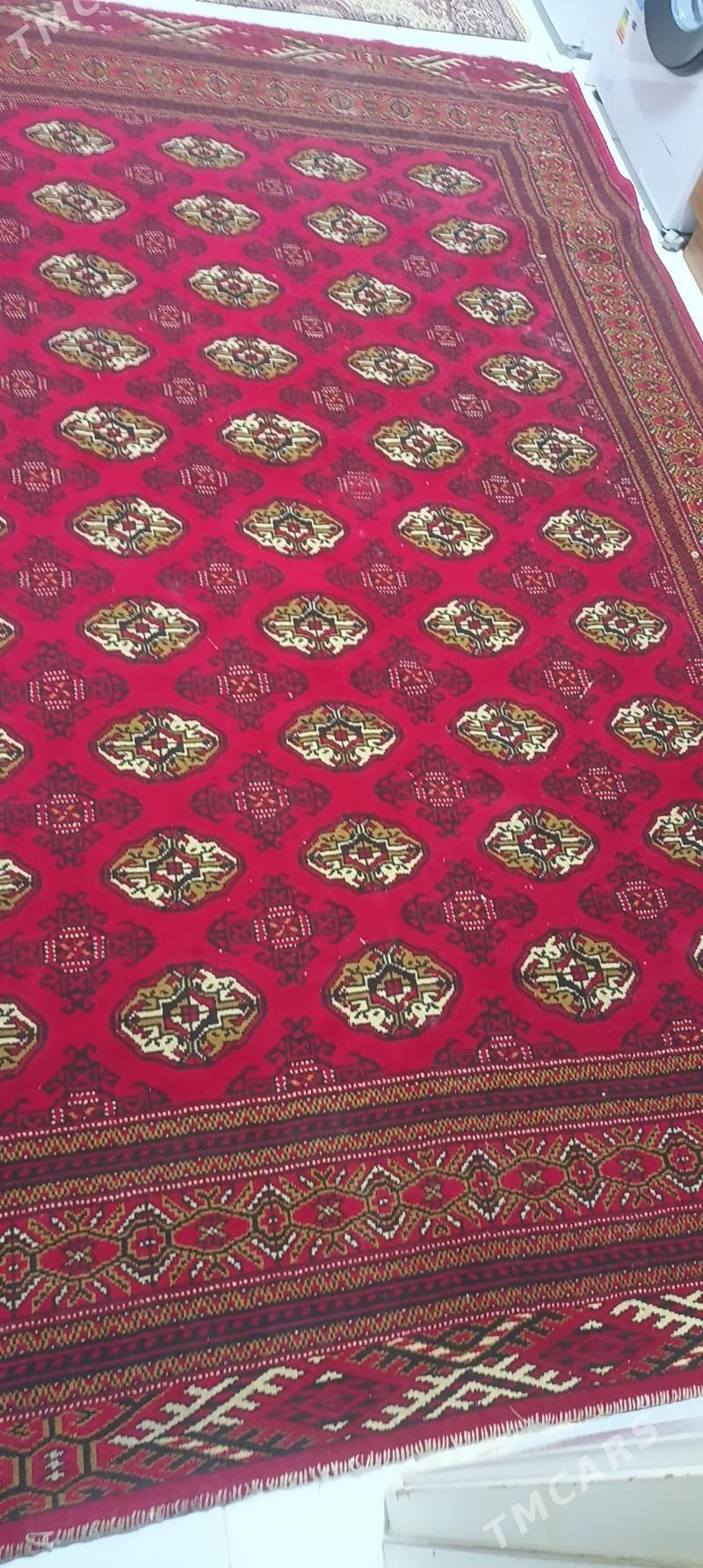 haly - Türkmenbaşy - img 2