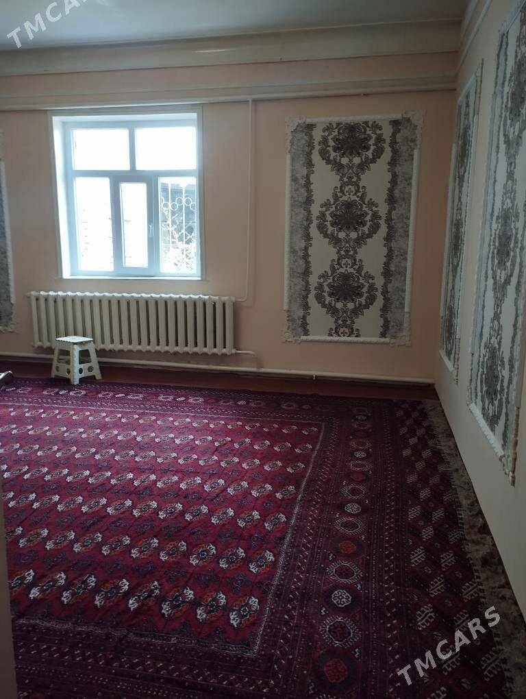 uchaska jay - Daşoguz - img 3