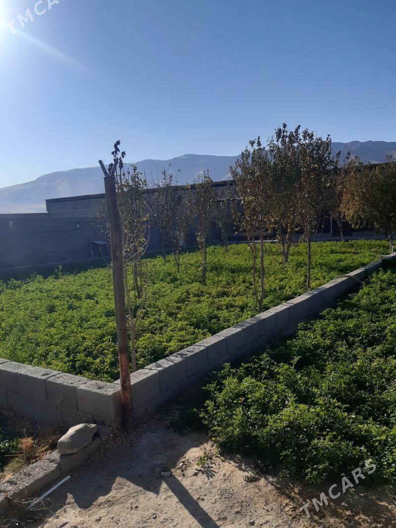 satlyk jay - Änew - img 6