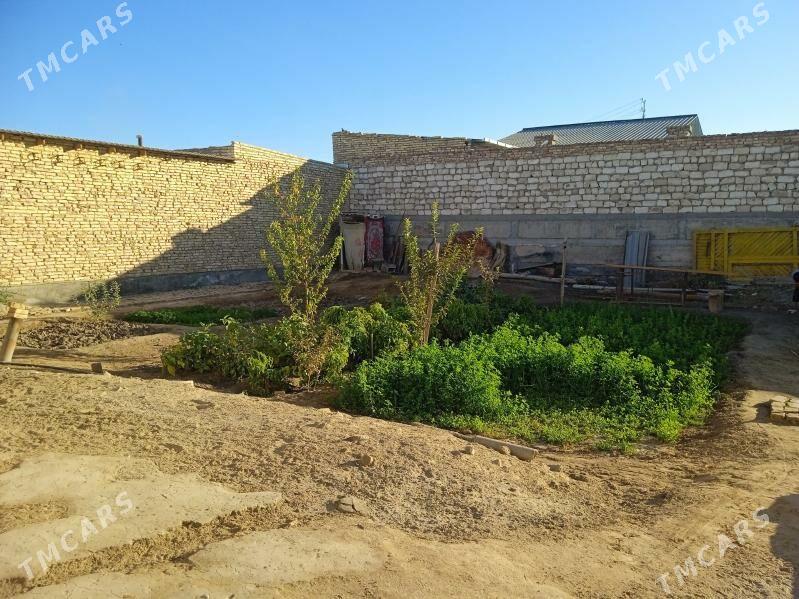 ayraport daca - Туркменабат - img 4