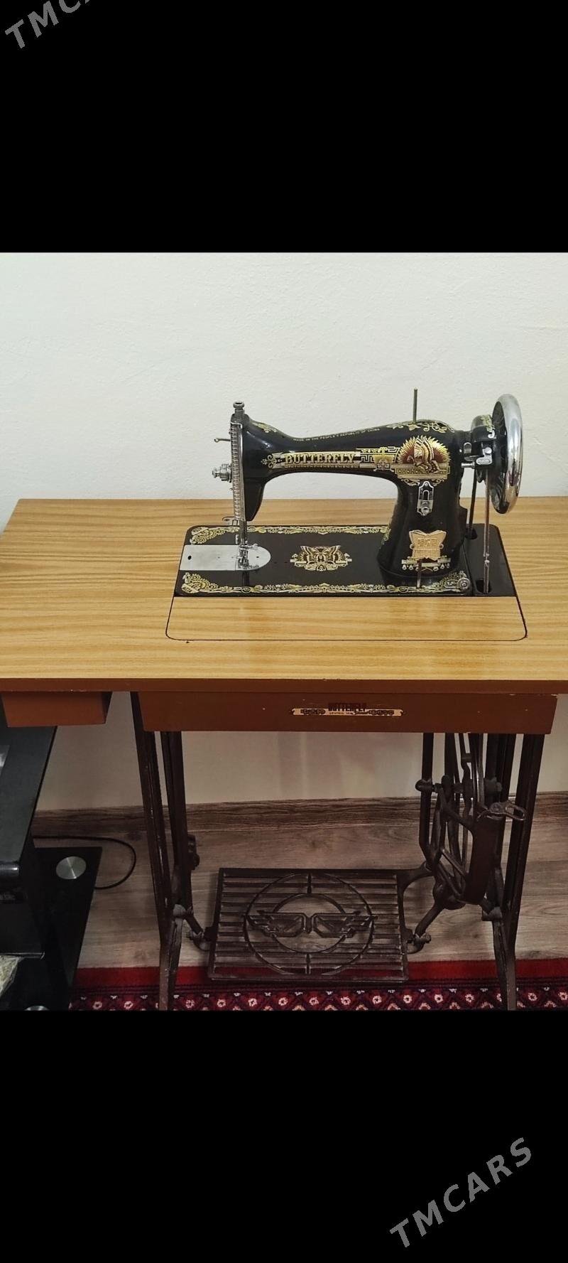 Tikin masyn - Gypjak - img 2