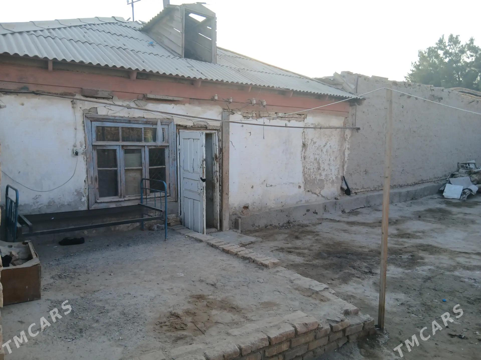 satlyk jay - Dänew - img 2