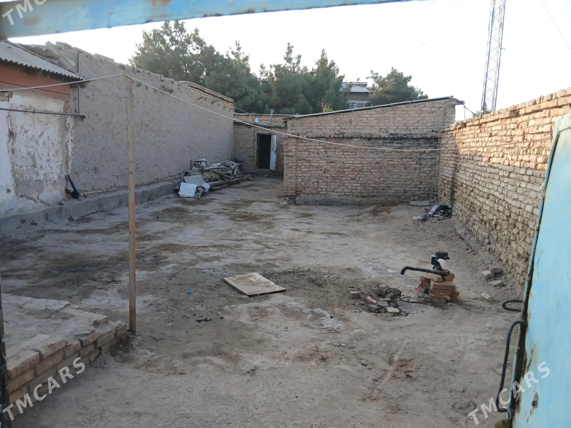 satlyk jay - Dänew - img 3