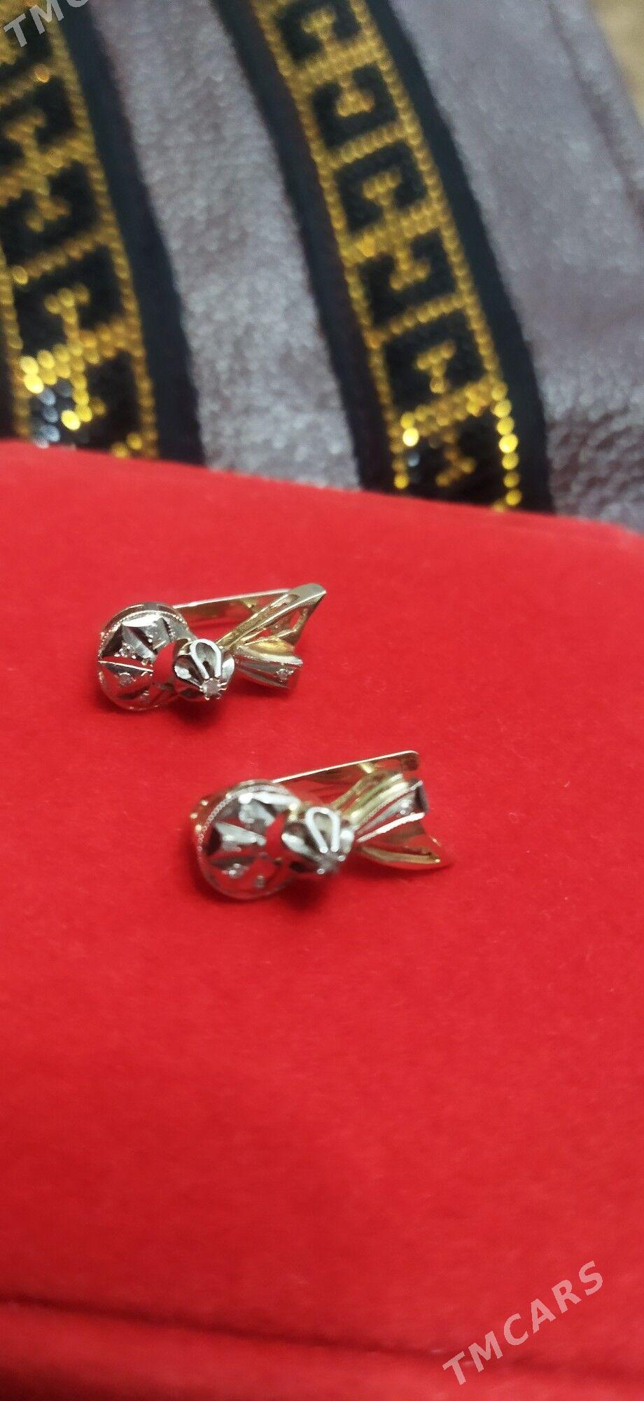 gyzyl gulakhalka - Büzmeýin - img 1