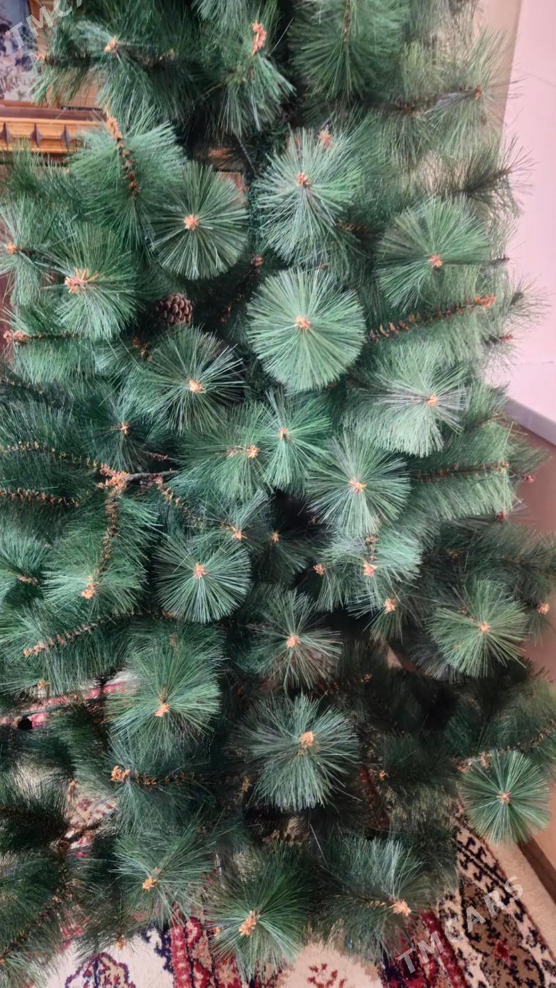 Yolka Ёлка - Досааф - img 2