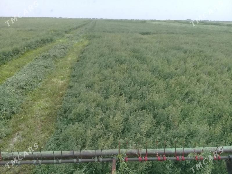 MTZ T-28 1992 - 100 000 TMT - Kaka - img 4