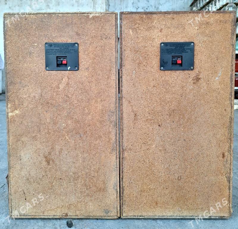 AMAMFITON 100 ac-022 - Кëши - img 4