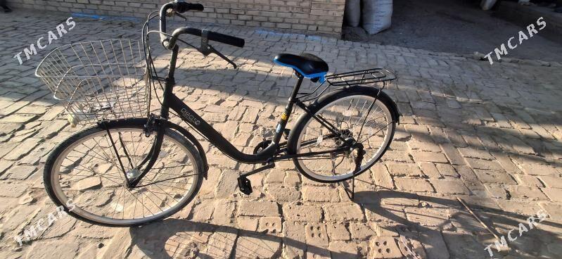 Welsepid 27 - Mary - img 1