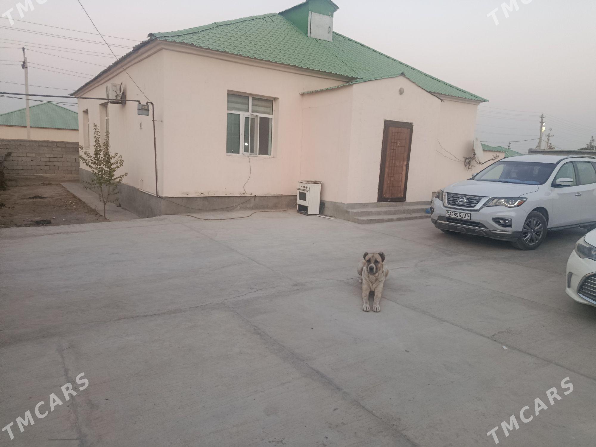 Gokdepe satlyk plan - Gökdepe - img 3