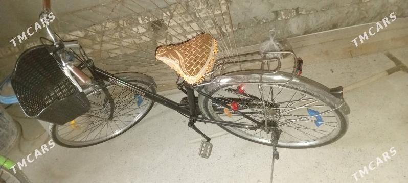 welik 27 - Mary - img 2