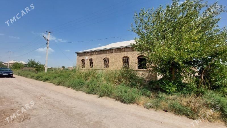 SAKARÇAGE YŽDAN 35 SOTUK - Сакарчага - img 2