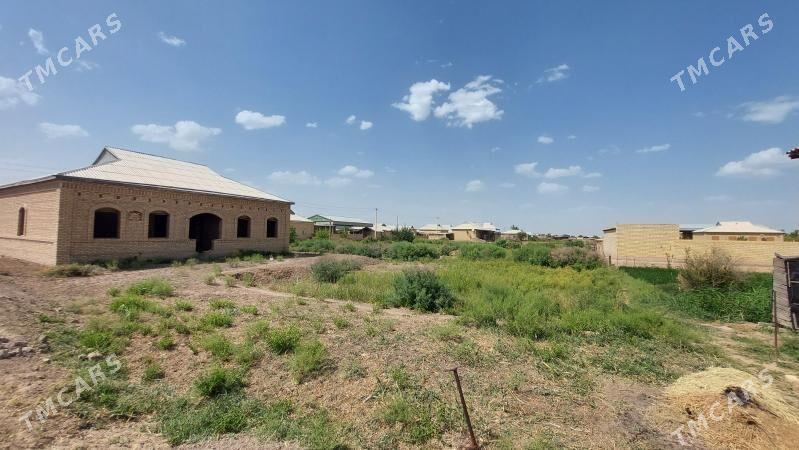 SAKARÇAGE YŽDAN 35 SOTUK - Сакарчага - img 3