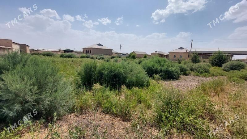 SAKARÇAGE YŽDAN 35 SOTUK - Сакарчага - img 4