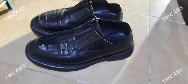 zimni kowus - Aşgabat - img 2