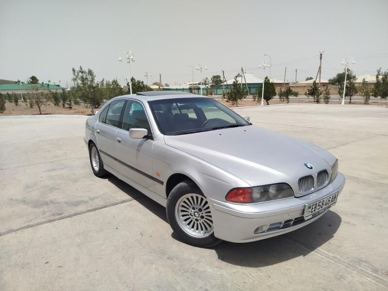 e39 farasy 850 TMT - Ak bugdaý etraby - img 2