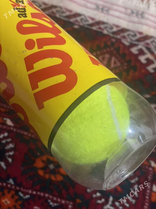 tennis topy,теннисные мячи - Aşgabat - img 4