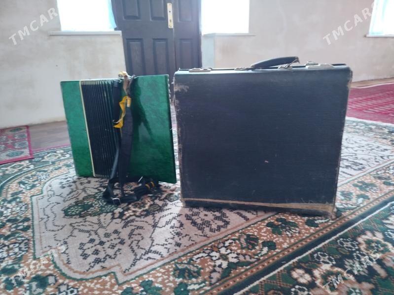 akardiyon - Mary - img 4