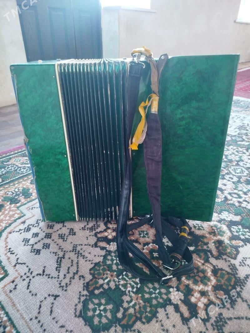 akardiyon - Mary - img 2