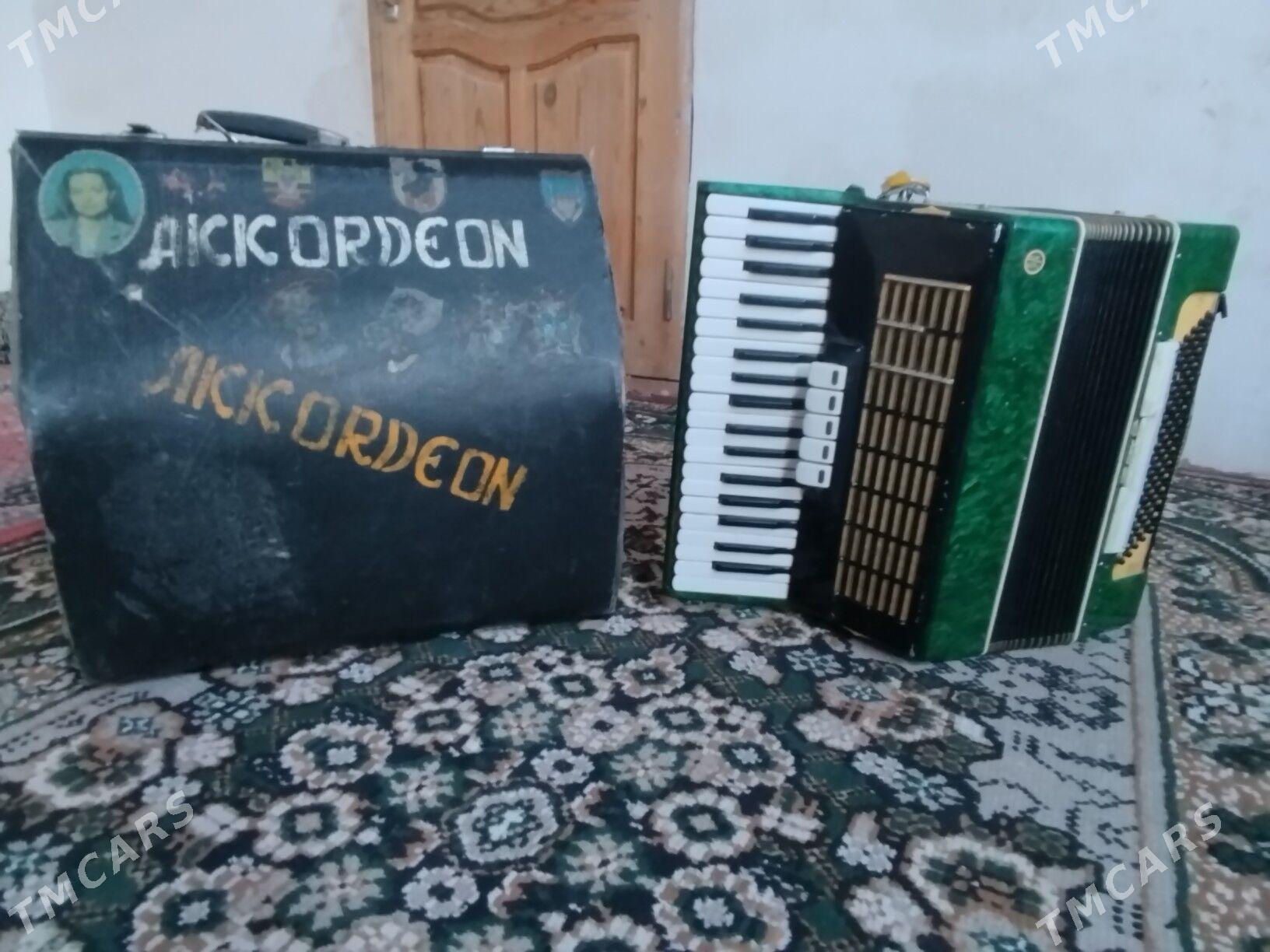 akardiyon - Mary - img 3