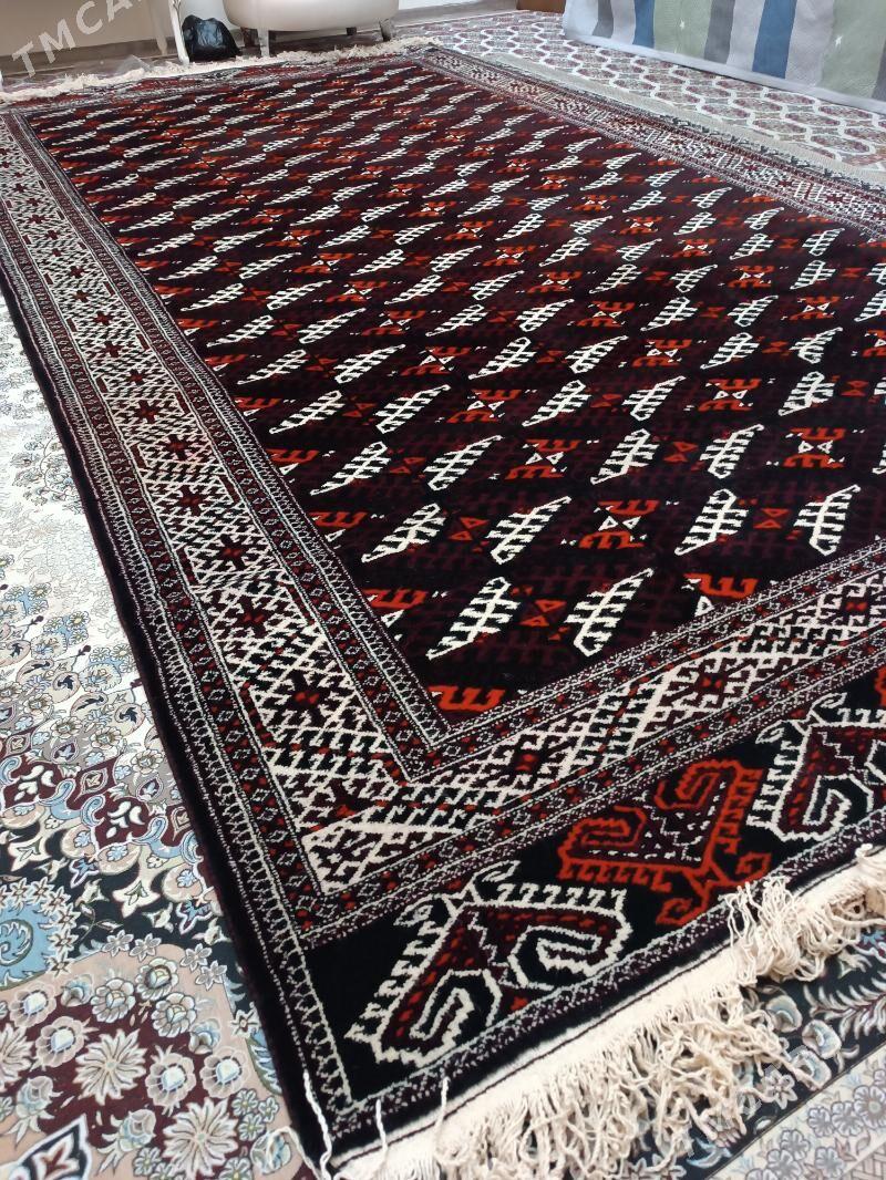 халы - Çoganly - img 8