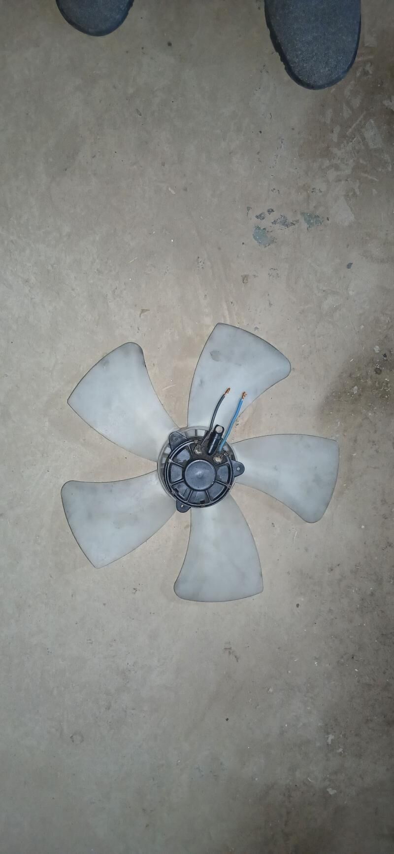 lopus 250 TMT - Гурбансолтан Едже - img 1