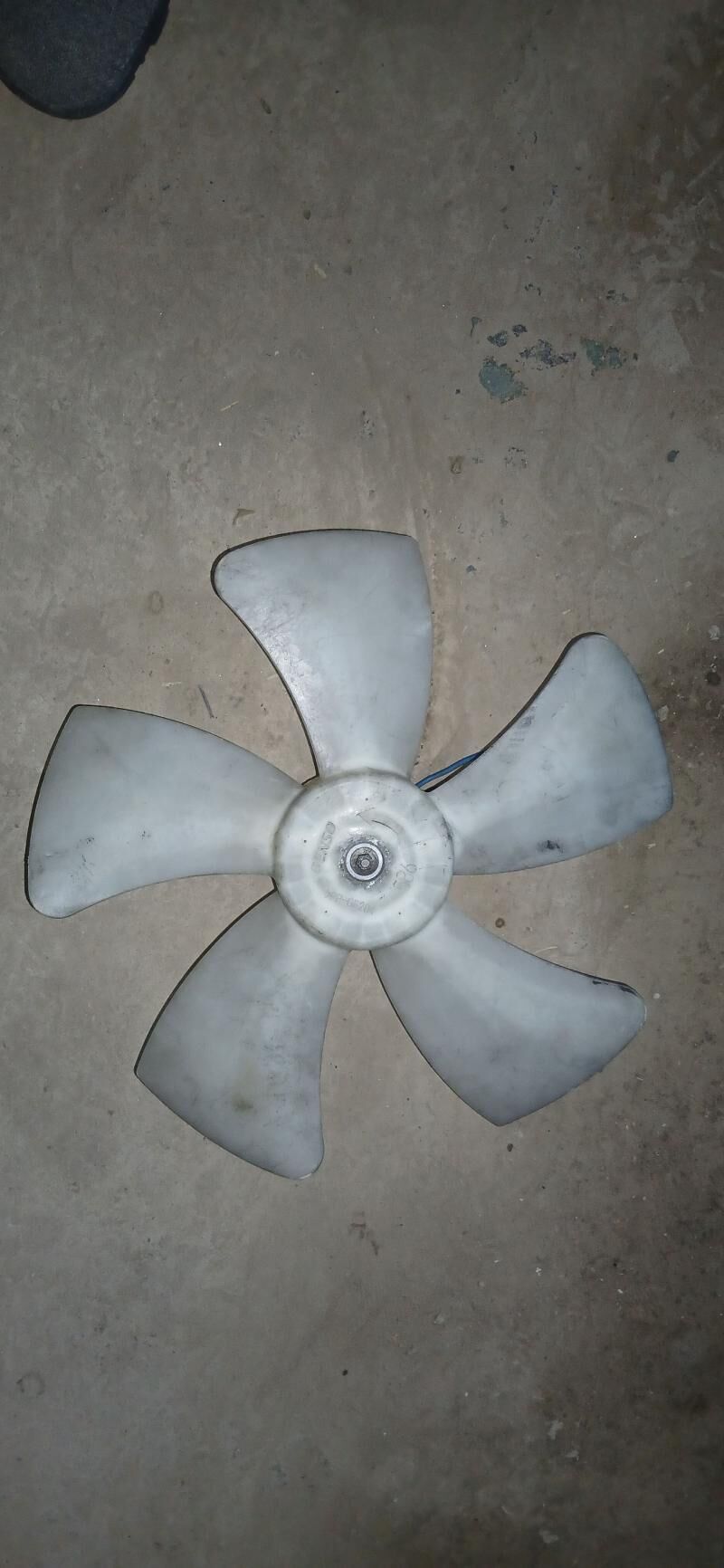 lopus 250 TMT - Гурбансолтан Едже - img 2