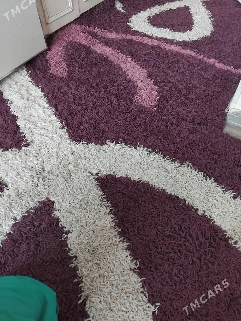 haly - Büzmeýin - img 2