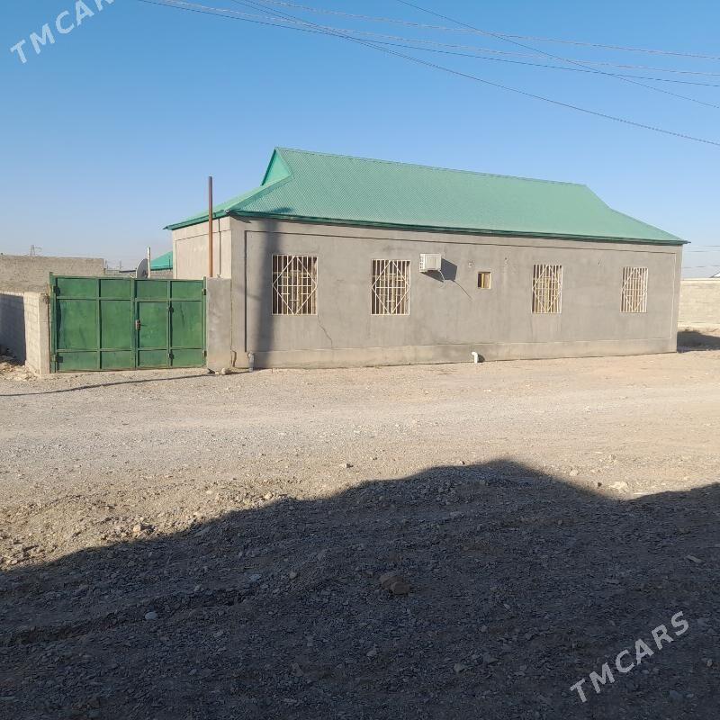 Jay - Gyzylarbat - img 2