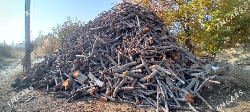 erik odun - Türkmenabat - img 2