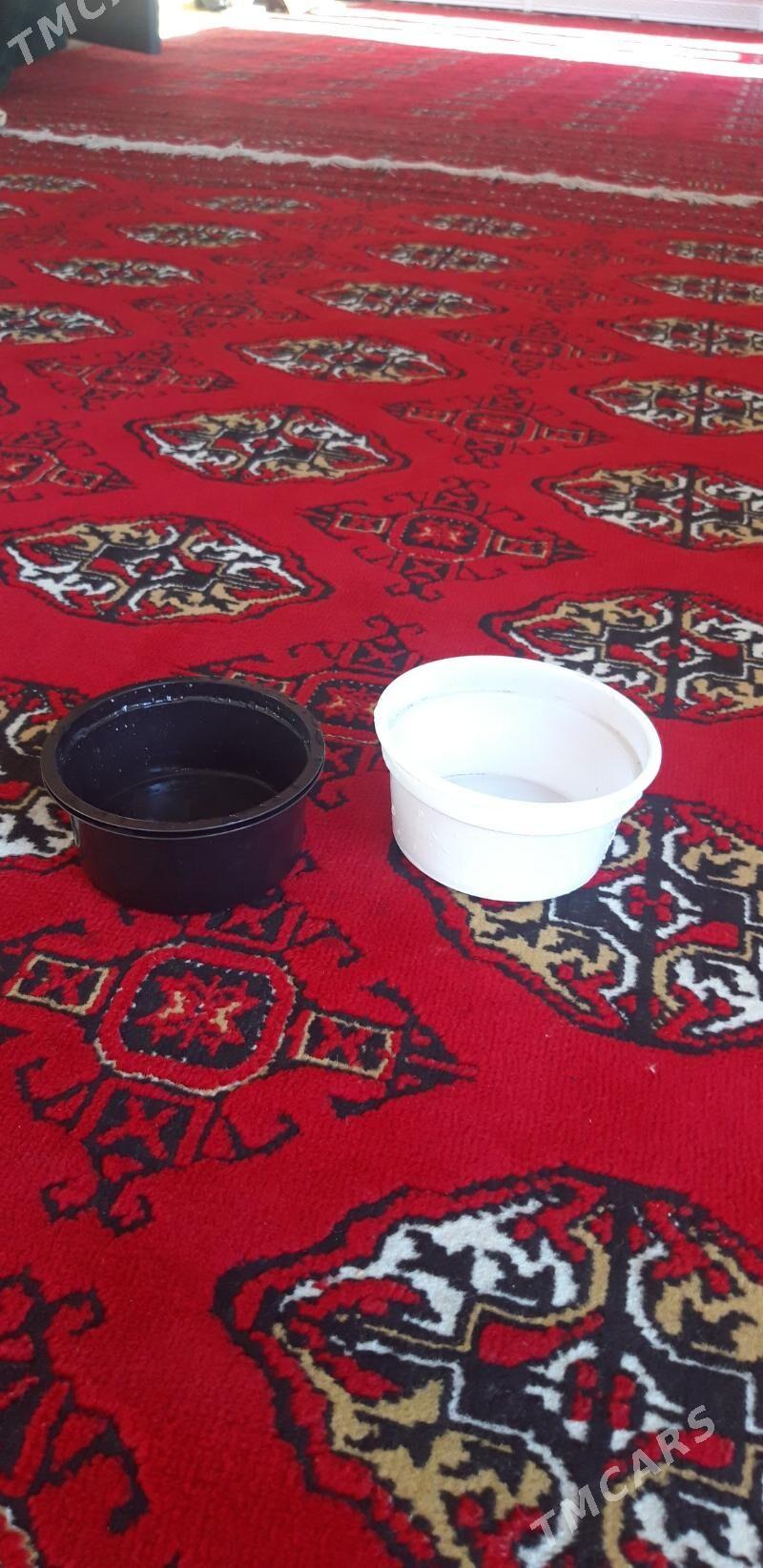 plasmas bedire - Ýalkym - img 6