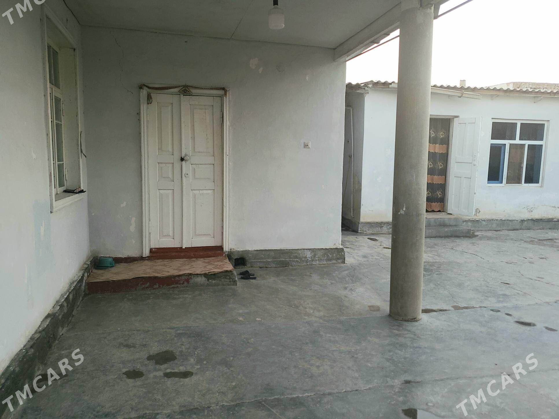 Pylan Jay - Tejen - img 4