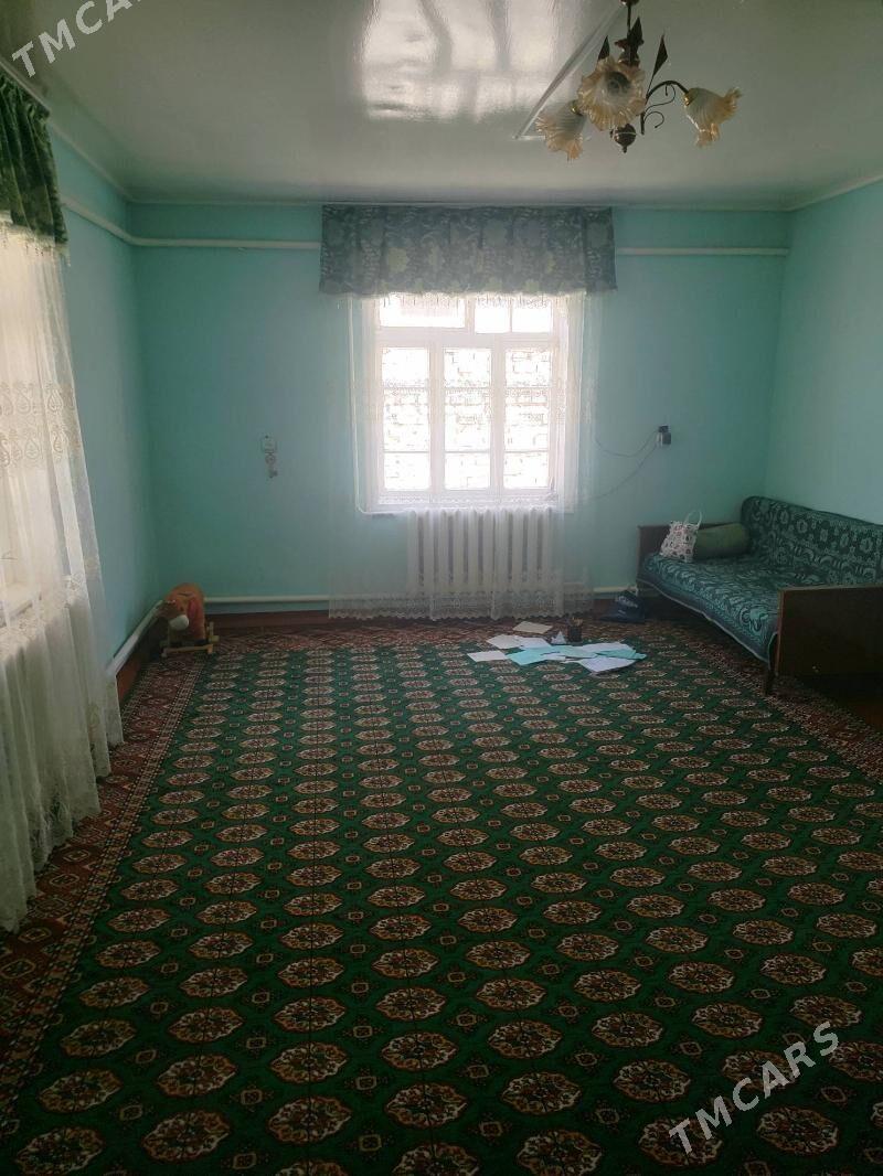 Pylan Jay - Tejen - img 3