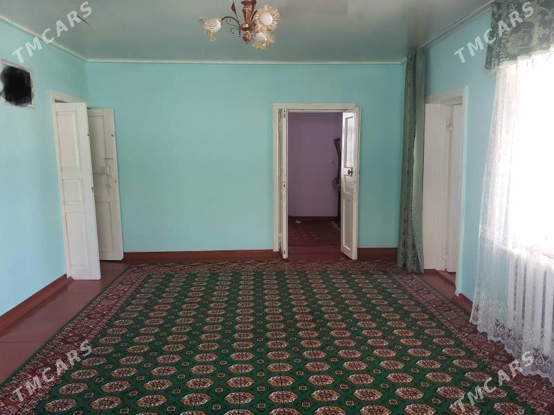 Pylan Jay - Tejen - img 5