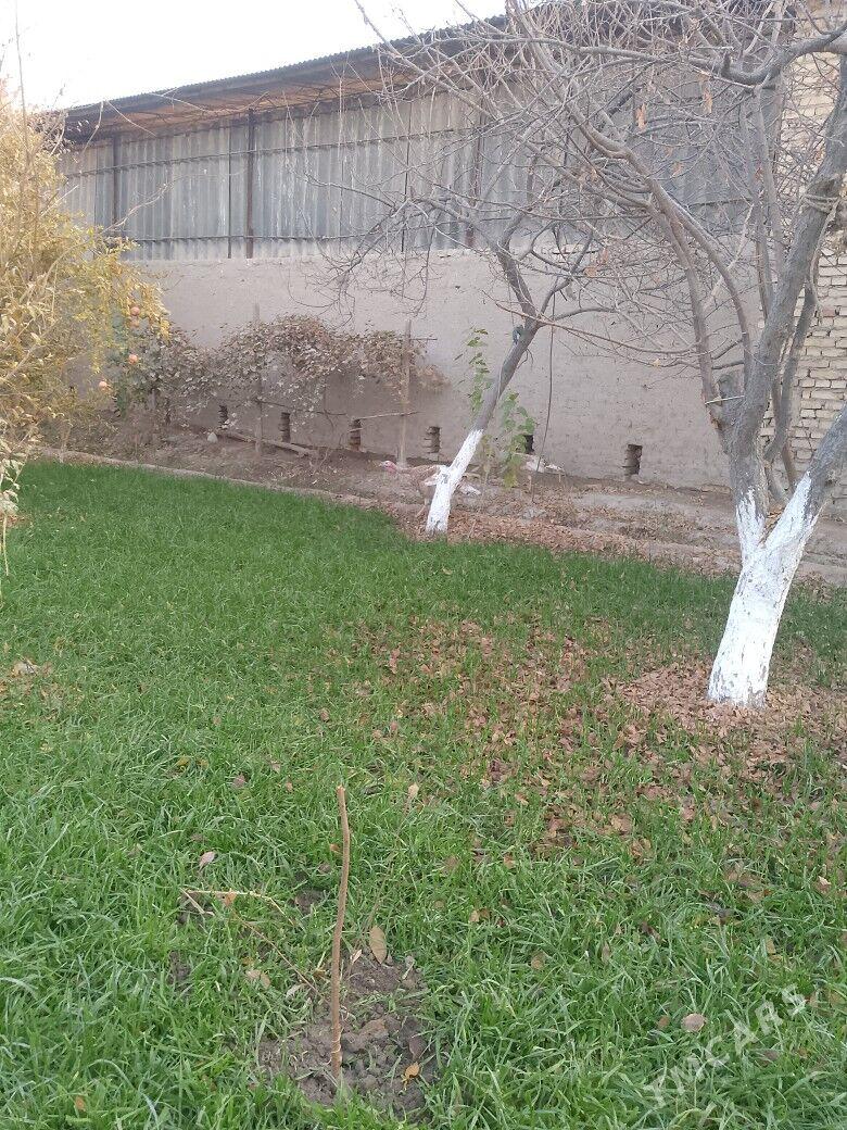 индук - Туркменабат - img 3