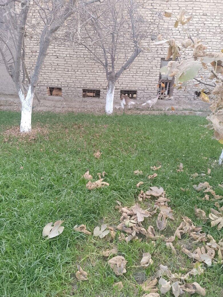 индук - Туркменабат - img 4