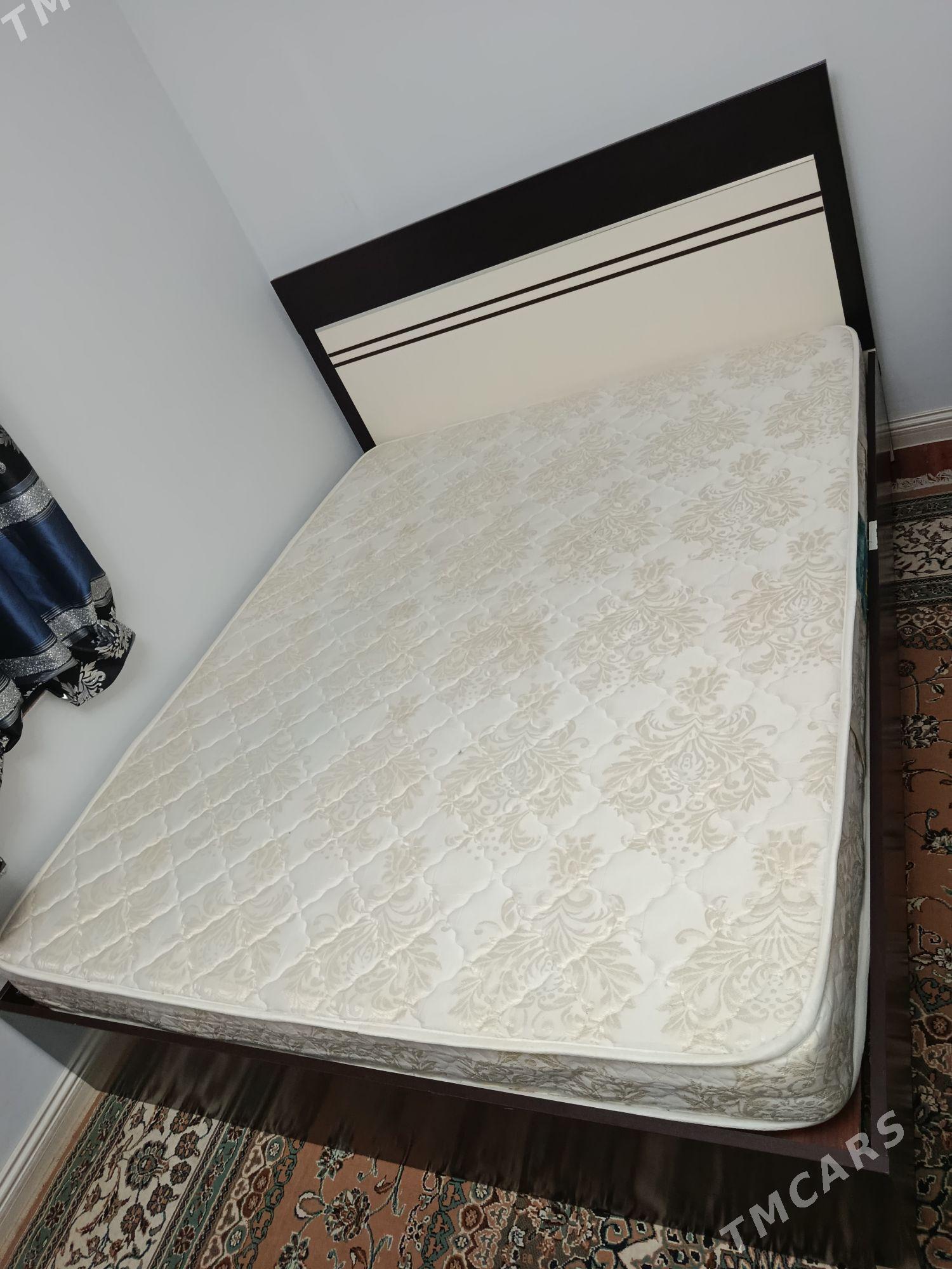 spanly - Ашхабад - img 2