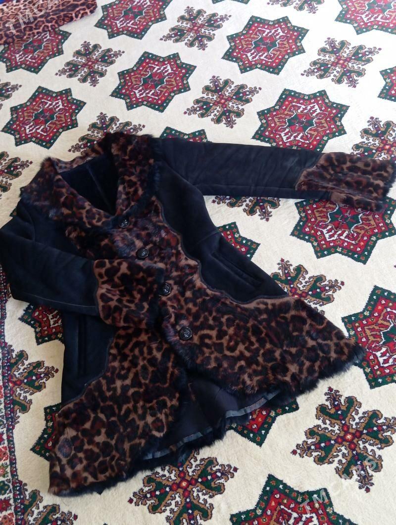 Palto - Balkanabat - img 2