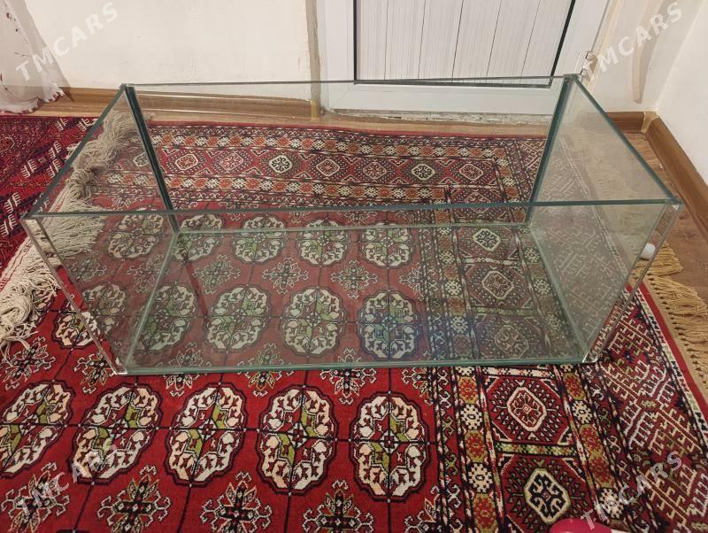 Аквариум - Хитровка - img 2