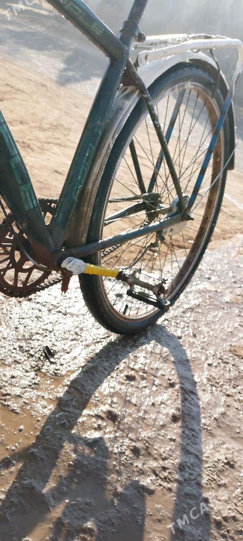 Welasaped - Гороглы (Тагта) - img 1