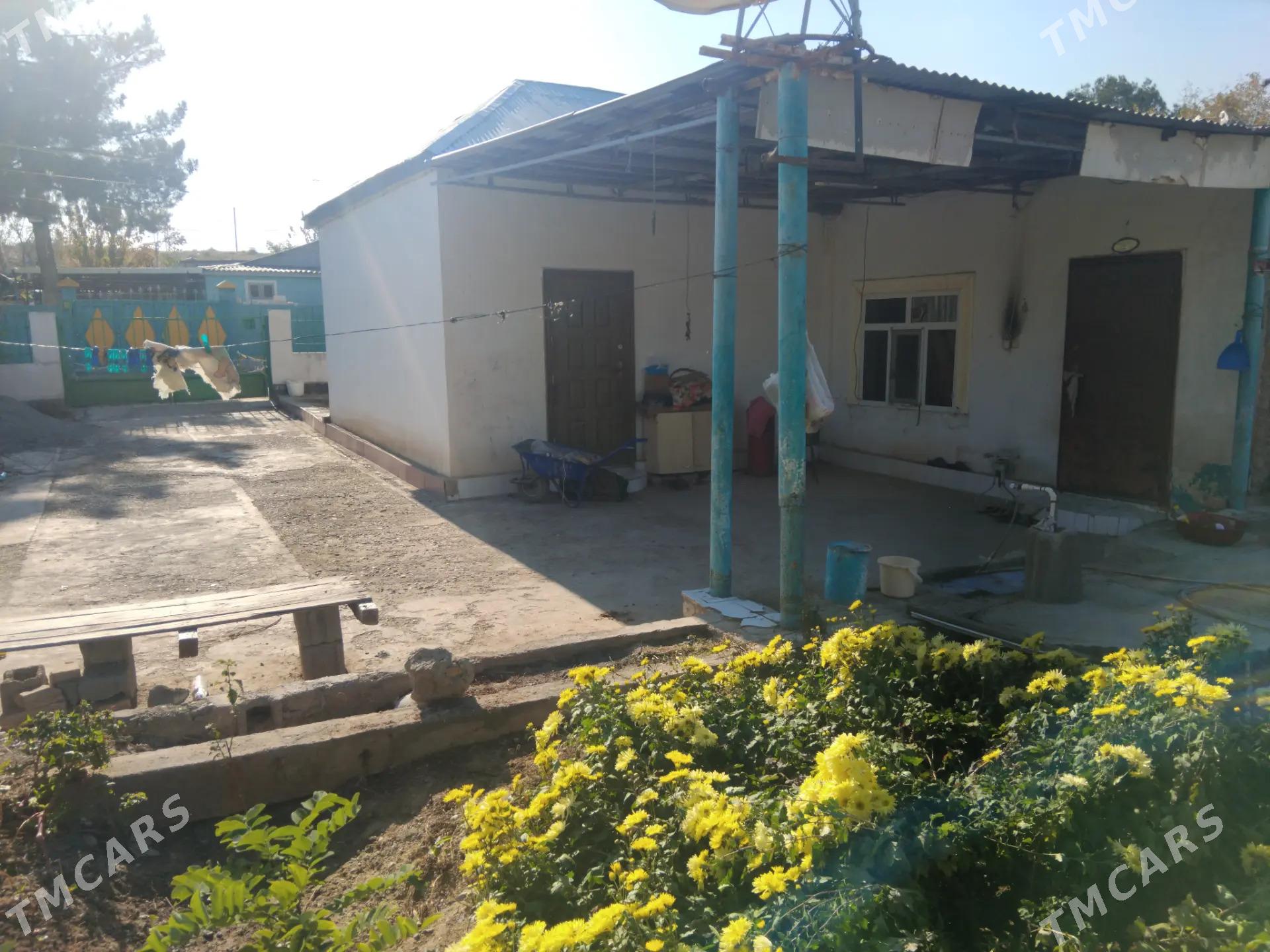 anewde satlyk jay - Анев - img 1