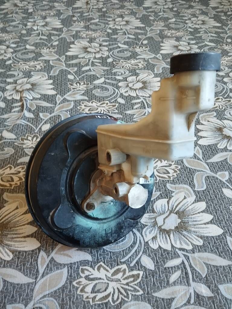 Öküz kelle wakum 350 TMT - Türkmenbaşy - img 1