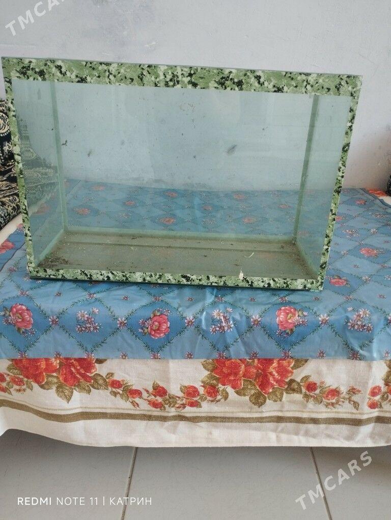 аквариум - Ашхабад - img 3