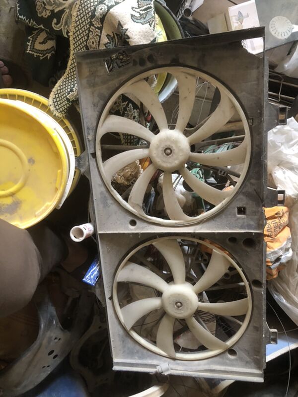 radiator lopus - Ruhabat (90-njy razýezd) - img 1