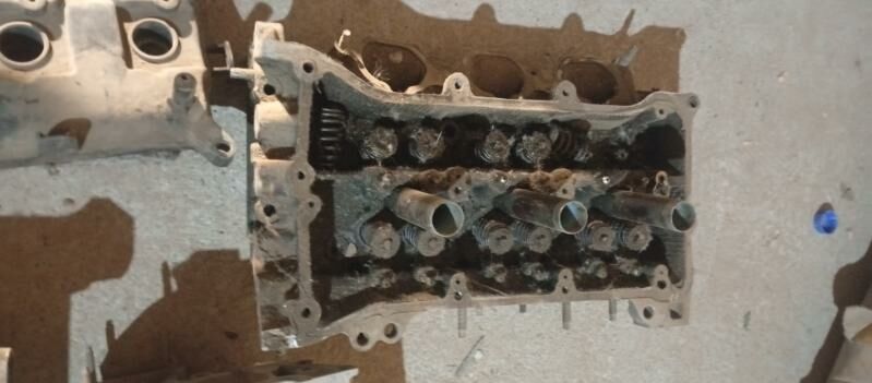 wanus 3.0 lik galofka 900 TMT - Bedew - img 4