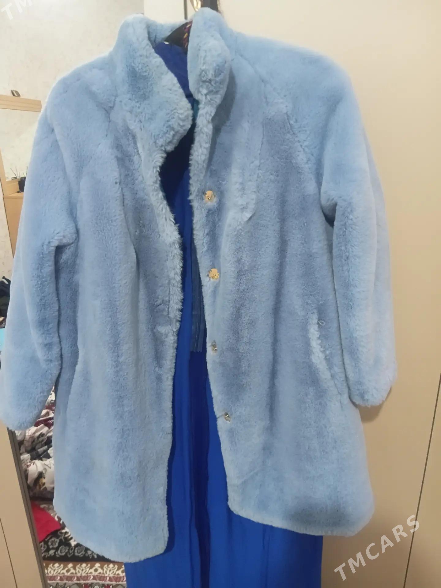 Şuba kurtga - Balkanabat - img 2