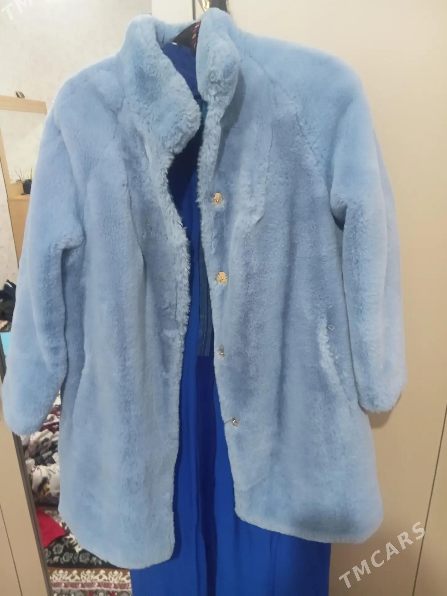 Şuba kurtga - Balkanabat - img 3