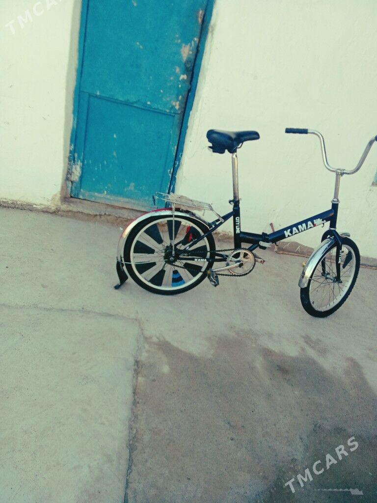 Kama tigr - Tejen - img 4