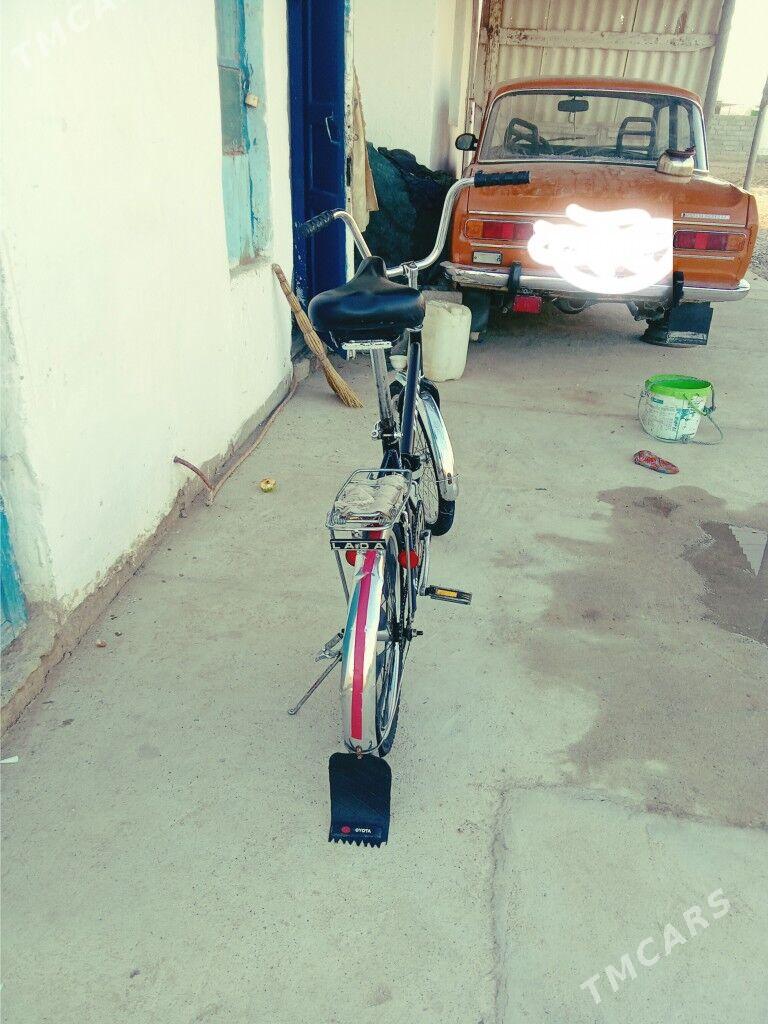 Kama tigr - Tejen - img 3