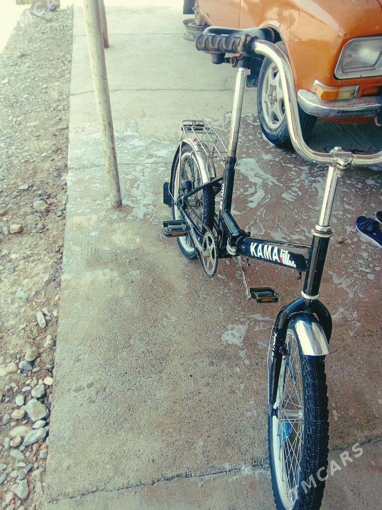 Kama tigr - Tejen - img 1