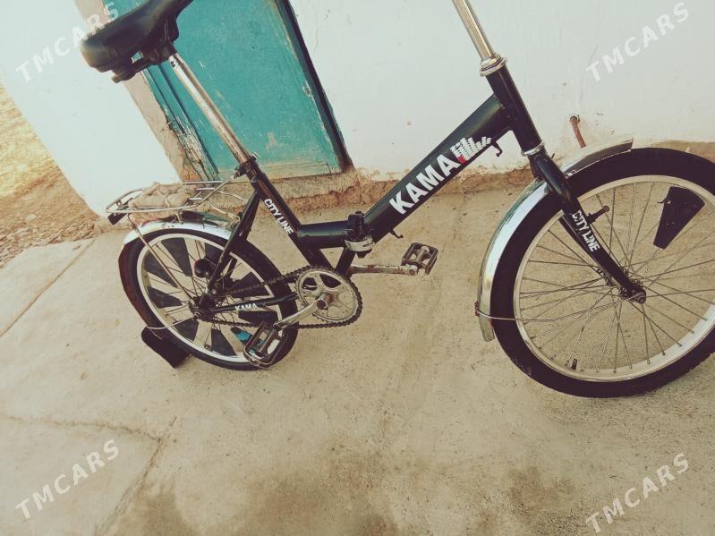 Kama tigr - Tejen - img 5